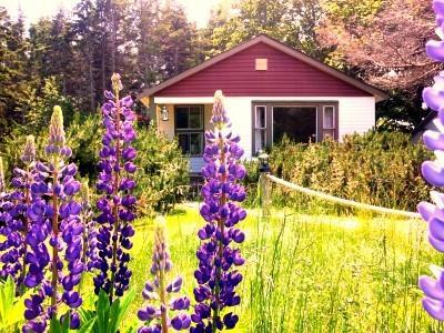 Goodview Cottages By Stanhope Beach Pei For Adults Only Exteriör bild