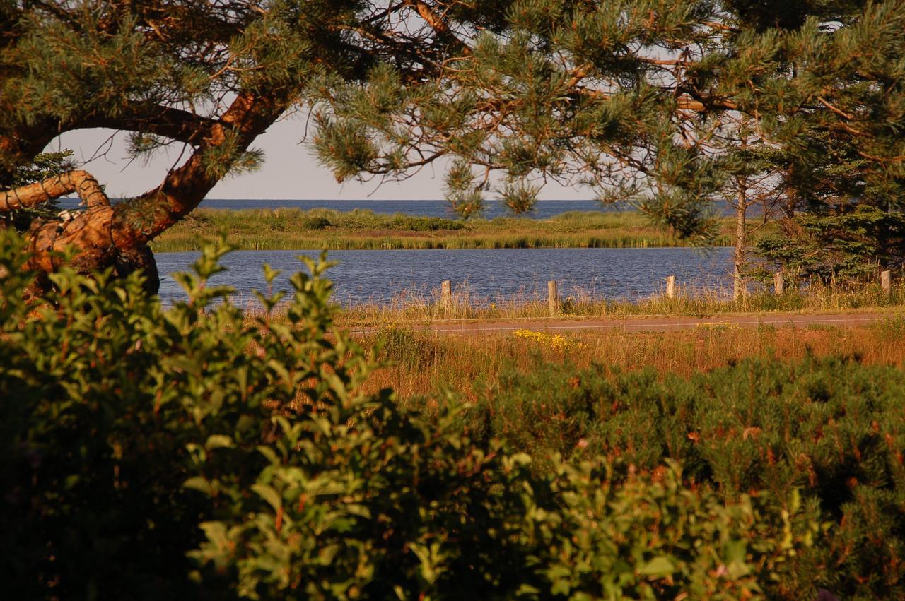Goodview Cottages By Stanhope Beach Pei For Adults Only Exteriör bild